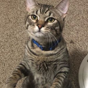 Meet your Posher, Melissa